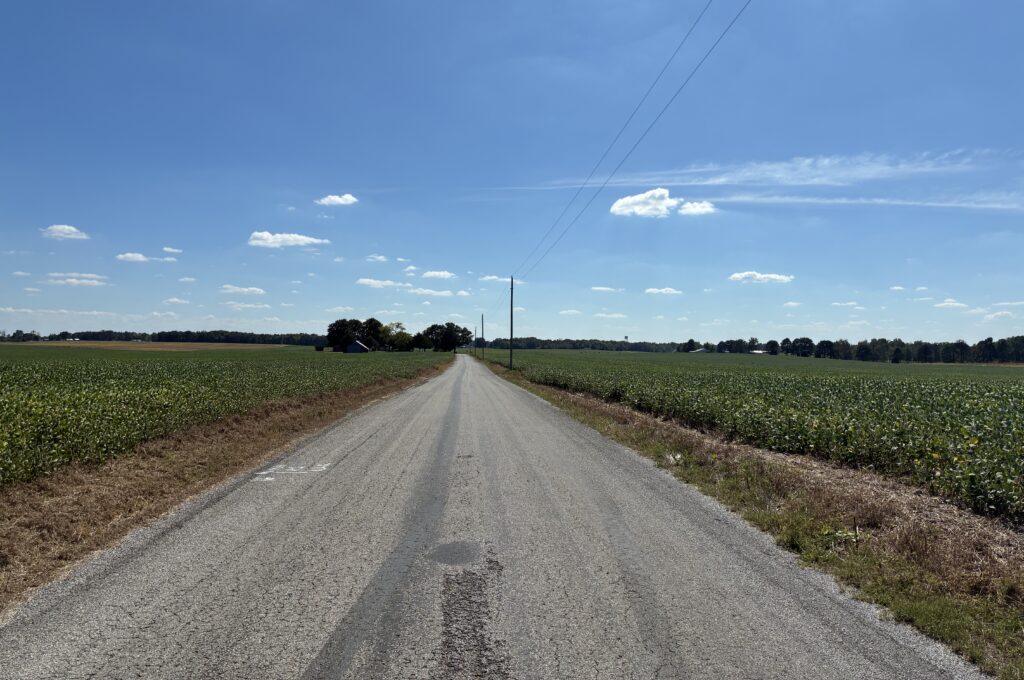 Auction - 207+/- Acres - Loretto, TN