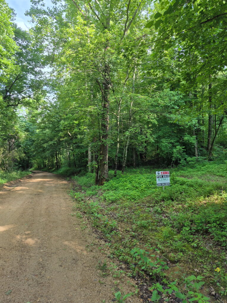 6 +/- Acre Wooded Lot, Lexington, AL